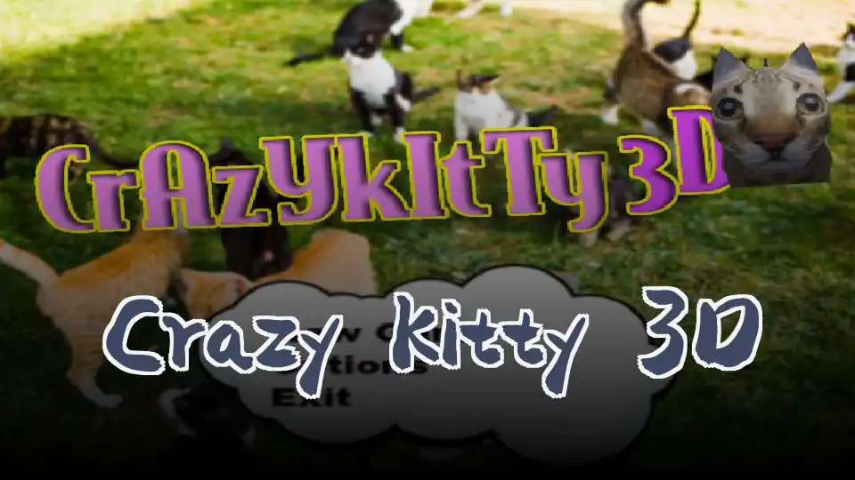 Crazy Kitty 3D